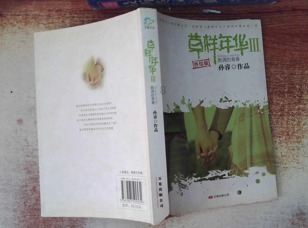 可爱的小考拉